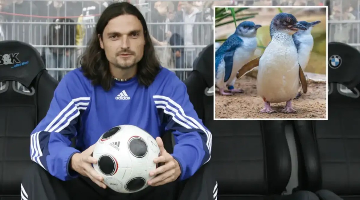 世界足坛最离谱的球员,走遍六大洲,三次被宣布死亡。